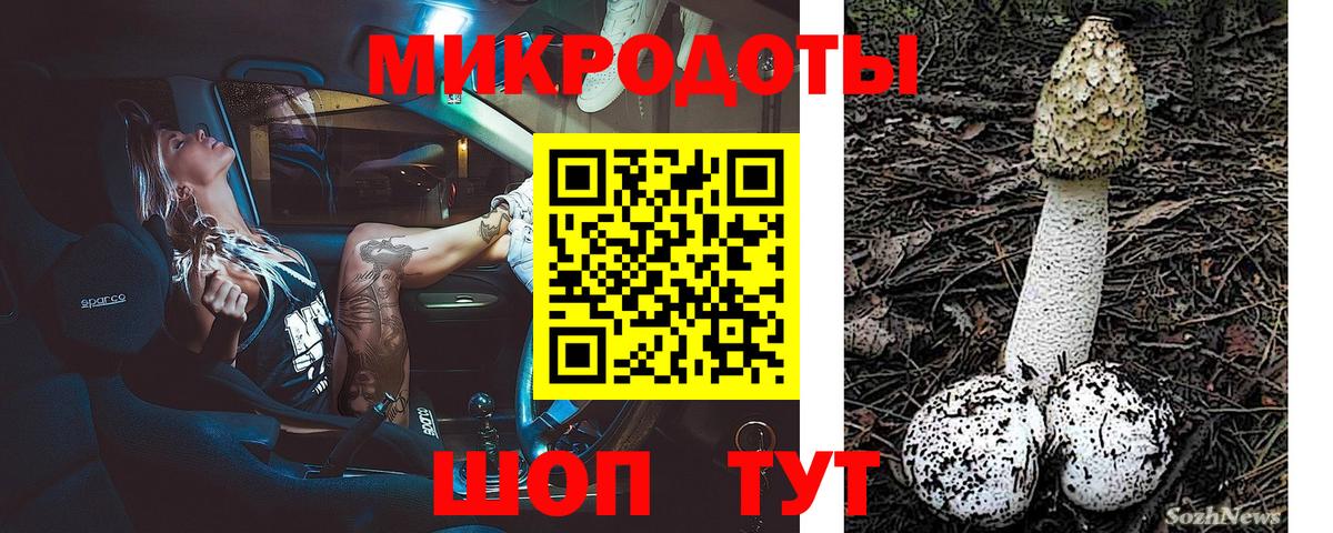 Псилоцибиновые грибы Psilocybe  Вход с VPN  Гусь-Хрустальный  как найти наркотики  Псилоцибиновые грибы Cubensis 